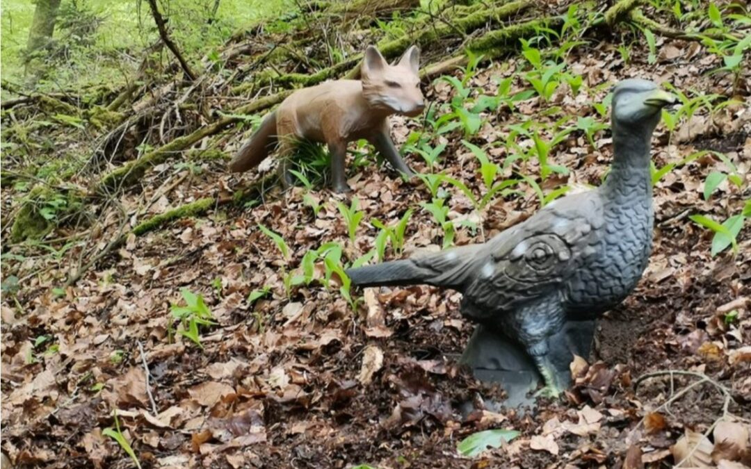 Parcoursbesuch Bogenabteilung